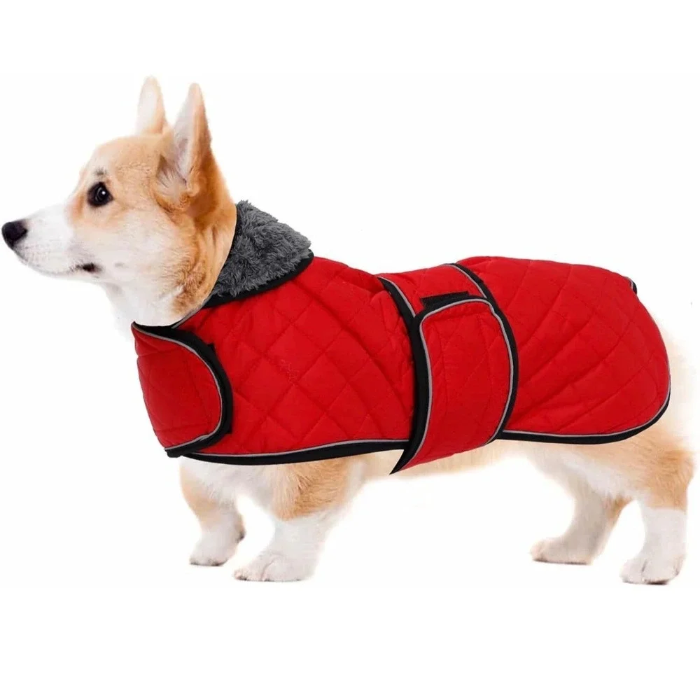 Geyecete Corgi Dog‎ Coat Red Quilted Winter Jacket Fleece Lined XS